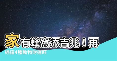 家裡有蜂窩代表|家裡有蜂窩風水不可不看攻略! 獨家資料! (2024年更新)